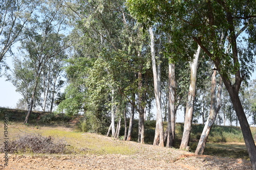 The Telaiya Dam on river Barakar Jhumri-Telaiya, Koderma, Jharkhand