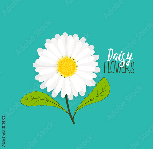 Meadow floral background