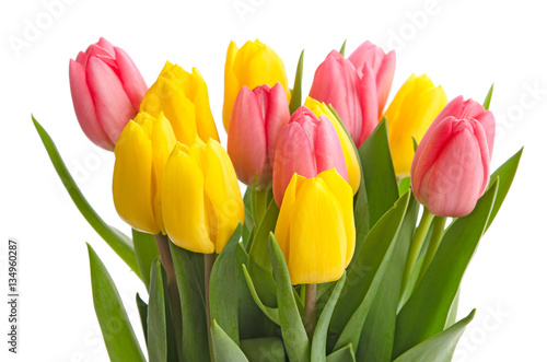 Fototapeta Naklejka Na Ścianę i Meble -  Rote und gelbe Tulpen