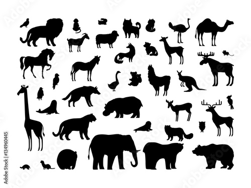 Animals Silhouettes Set