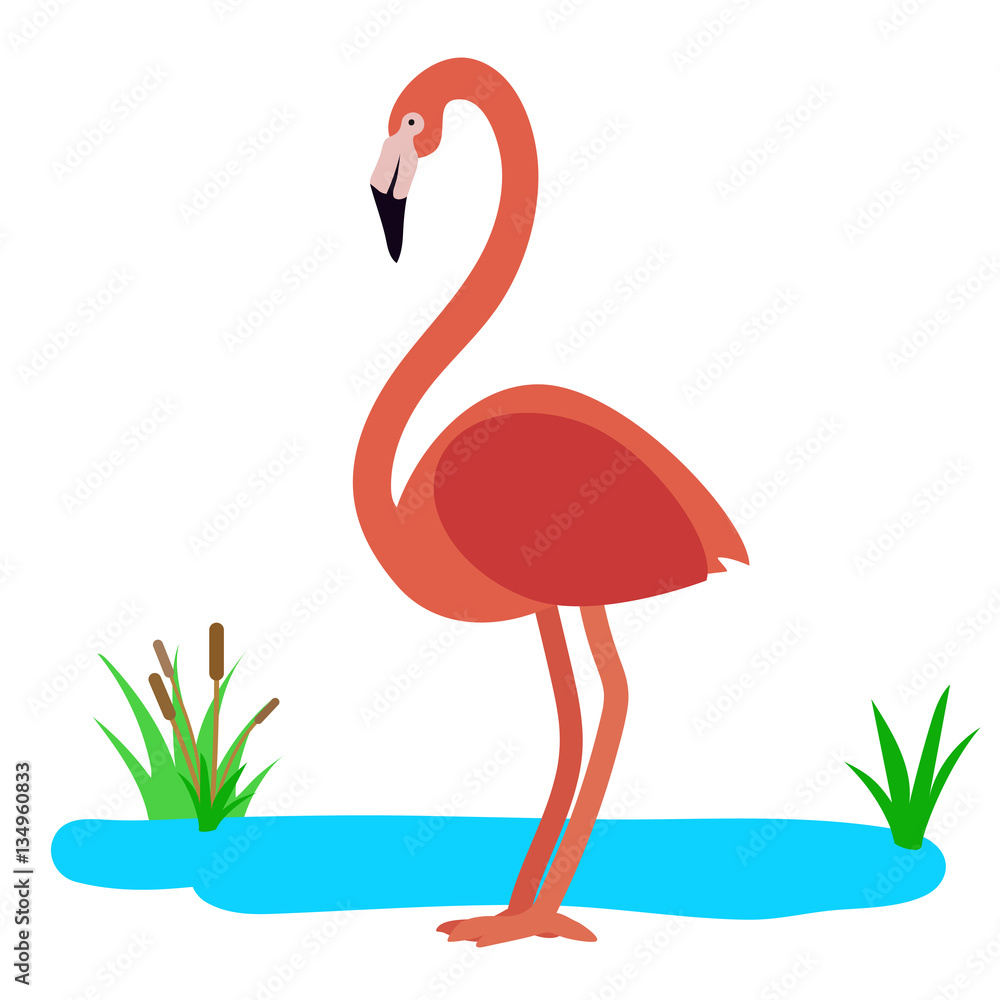 Fototapeta premium pink Famingo cartoon