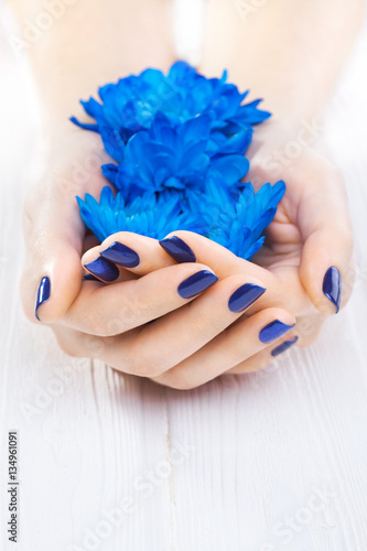 blue manicure with chrysanthemum flowers. spa