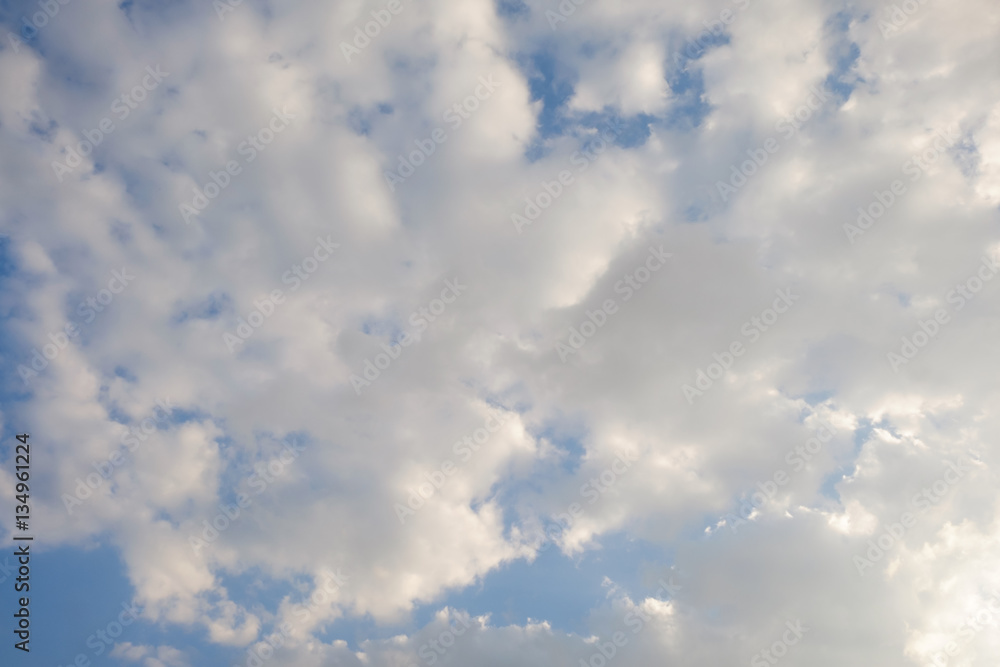 Fototapeta premium soft cloud sky background