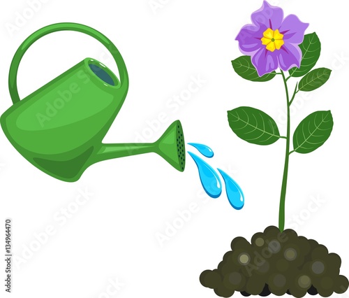 Watering can waters flower