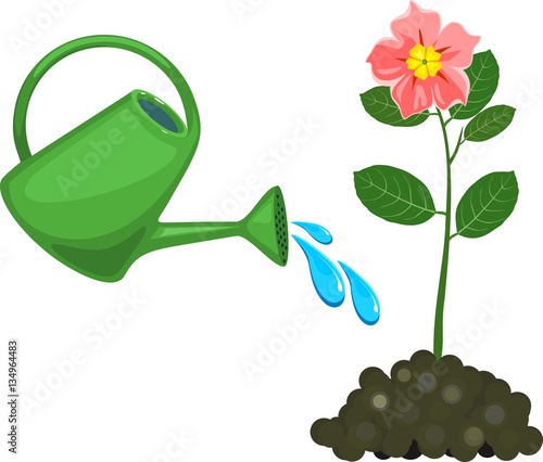 Watering can waters flower