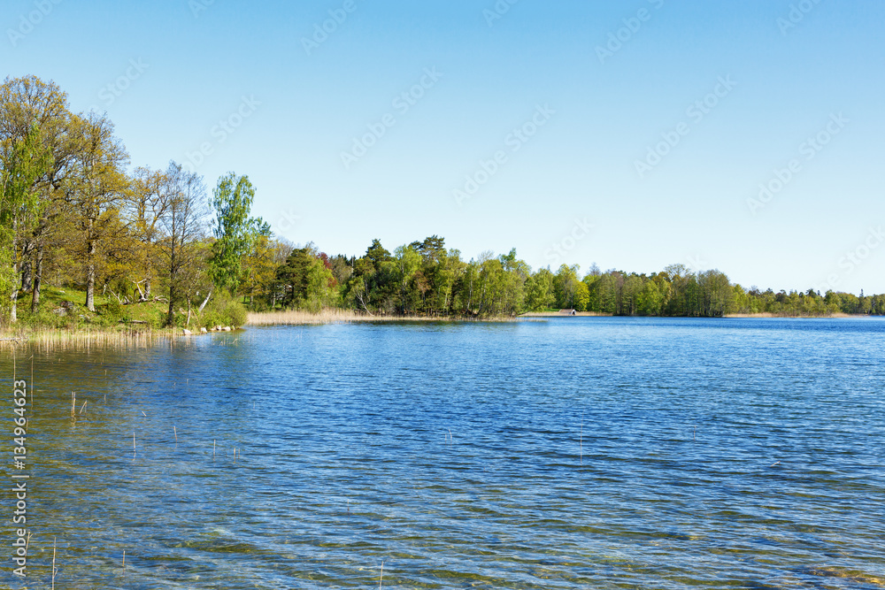 View of a lake in summer