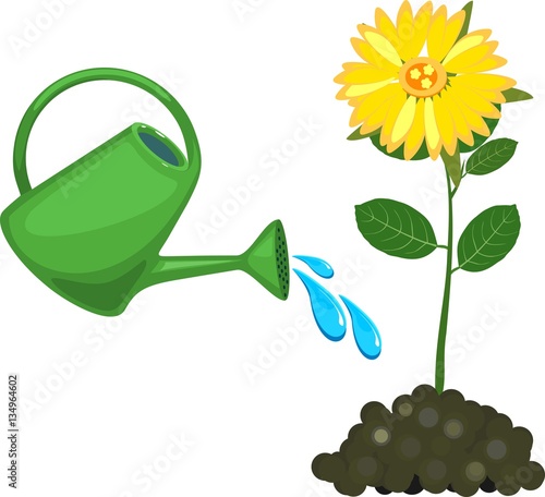 Watering can waters flower