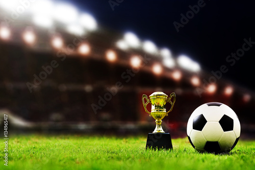 soccer field and stadium with fans the night before the match, s