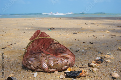 Many fish species are included in mesh bags on the beach.