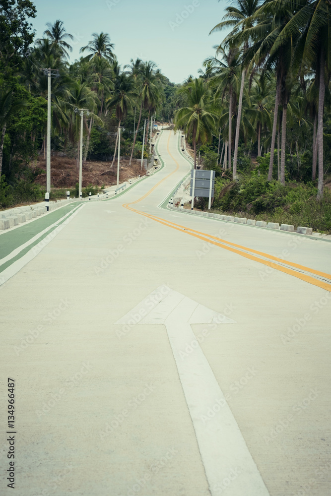 Obraz premium New constructed road in jungles.