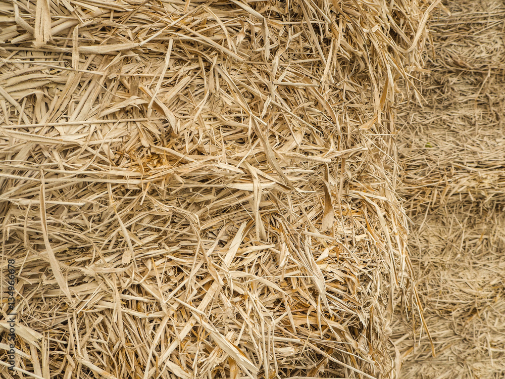 big straw background big straw background