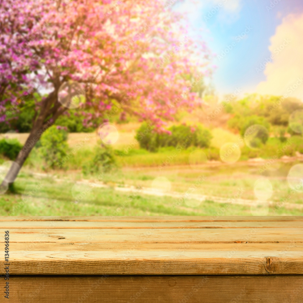 Spring background. Empty wooden deck table for product montage display Spring background. Empty wooden deck table for product montage display