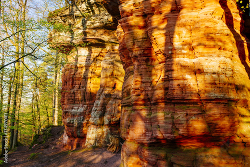 Frühling am Altschlossfelsen bei Eppenbrunn / Pfälzer Wald, Rheinland- Pfalz, Deutschland photo