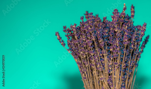 getrockneter Lavendel vor blauen Hintergrund