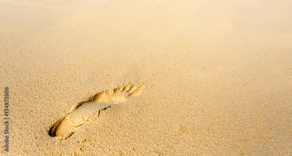 One footprint on the tropical beach at daytime One footprint on the tropical beach at daytime