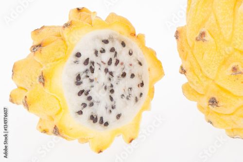 The Pitahaya or dragon fruit (Selenicereus megalanthus)