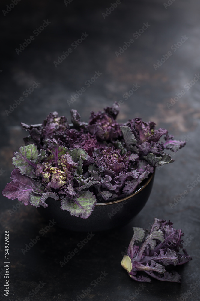 Flower Sprout in einer Schüssel auf einem alten rostigen Untergrund