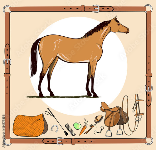 Horse and riding tack tools in leather belt frame. Bridle, saddle, stirrup, brush, bit, harness, supplies, whip equine harness equipments. Hand drawing cartoon vector equestrian sport background