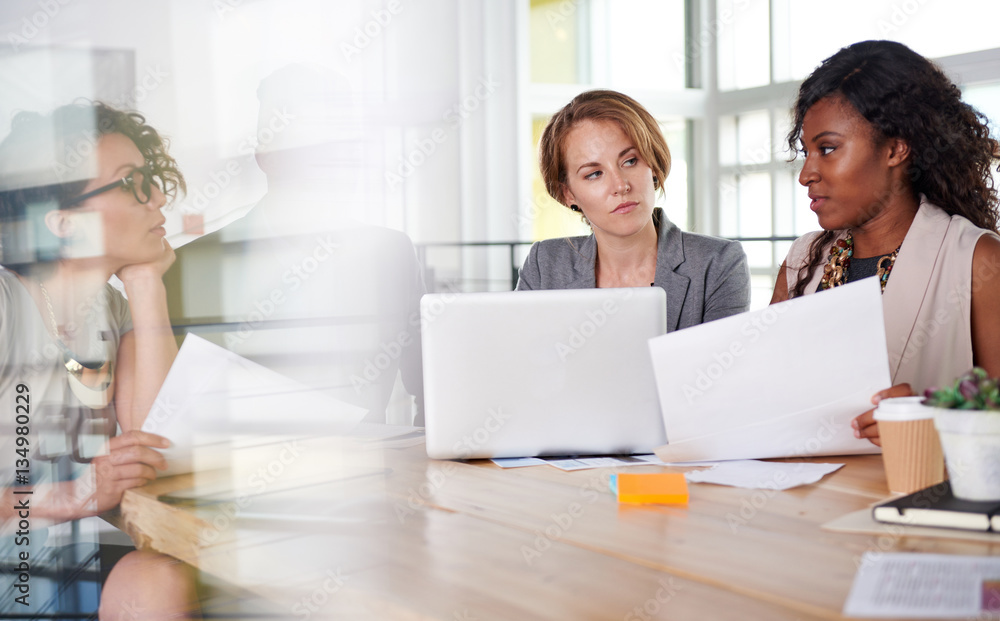 team of successful business people having a meeting in executive sunlit office team of successful business people having a meeting in executive sunlit office