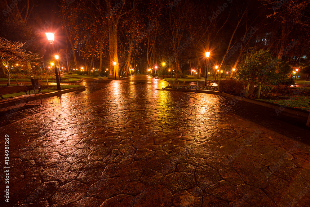 San Francisco park at night. Oviedo