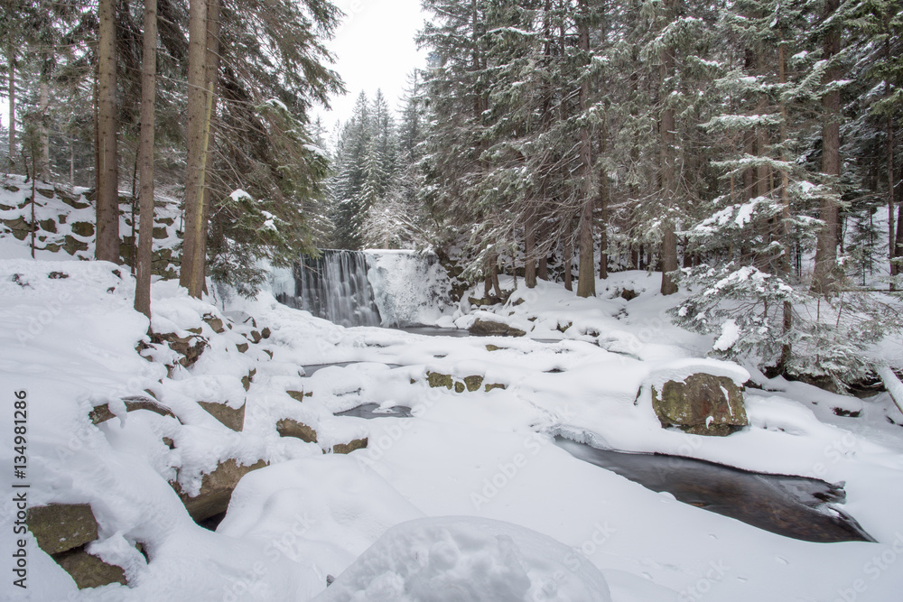 Naklejka premium Dziki Wodospad w zimowy poranek, rzeka Łomnica, Karpacz