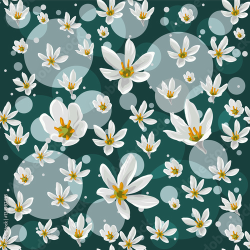 Seamless pattern with white  zephyranthes flowers on turquoise background