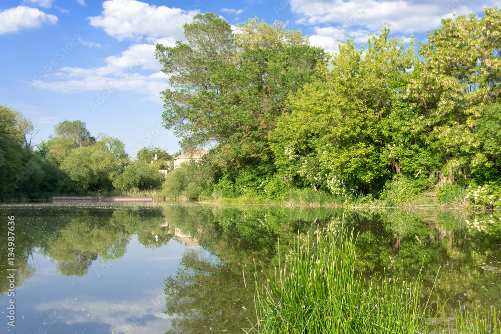 Fototapeta premium lake