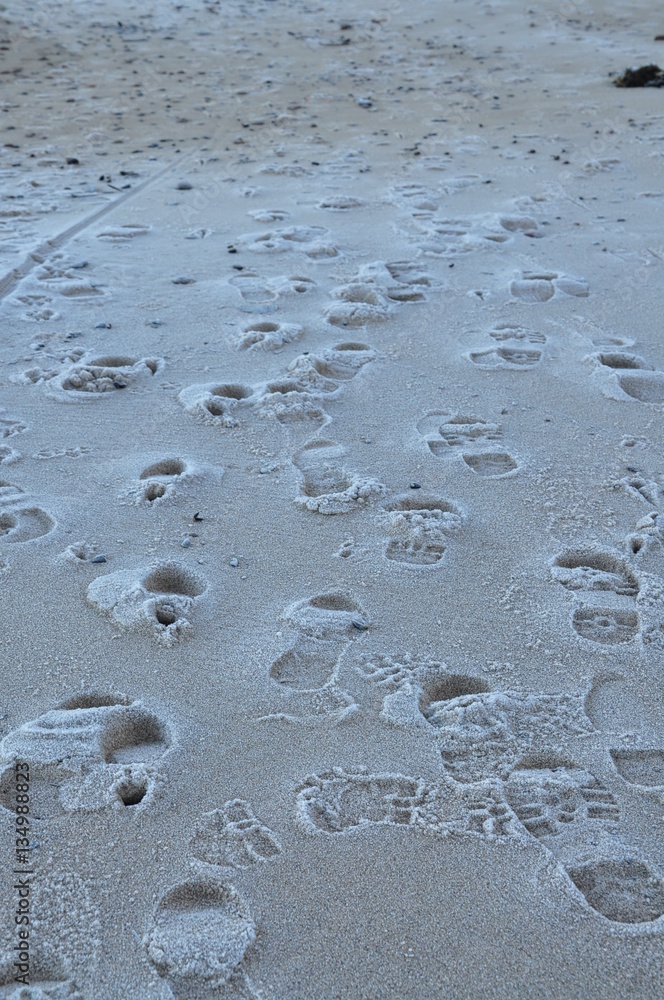 Spaziergänger am Strand