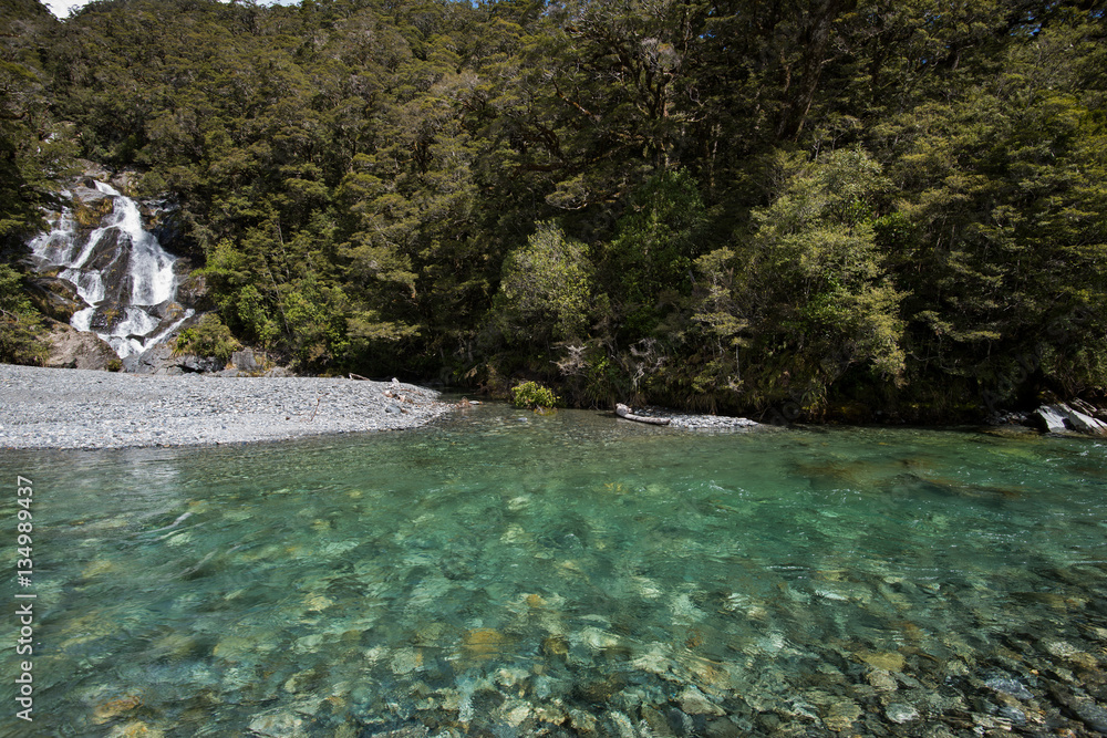 Makarora River, Mount Aspiring National Park, New Zealand