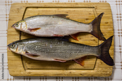 Healthy fish cought in winter season river, winter fishing photo