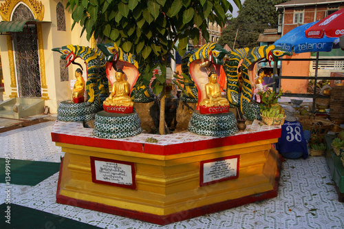 Buddha protected by naga photo