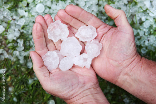 Hail in hands after hailstorm photo
