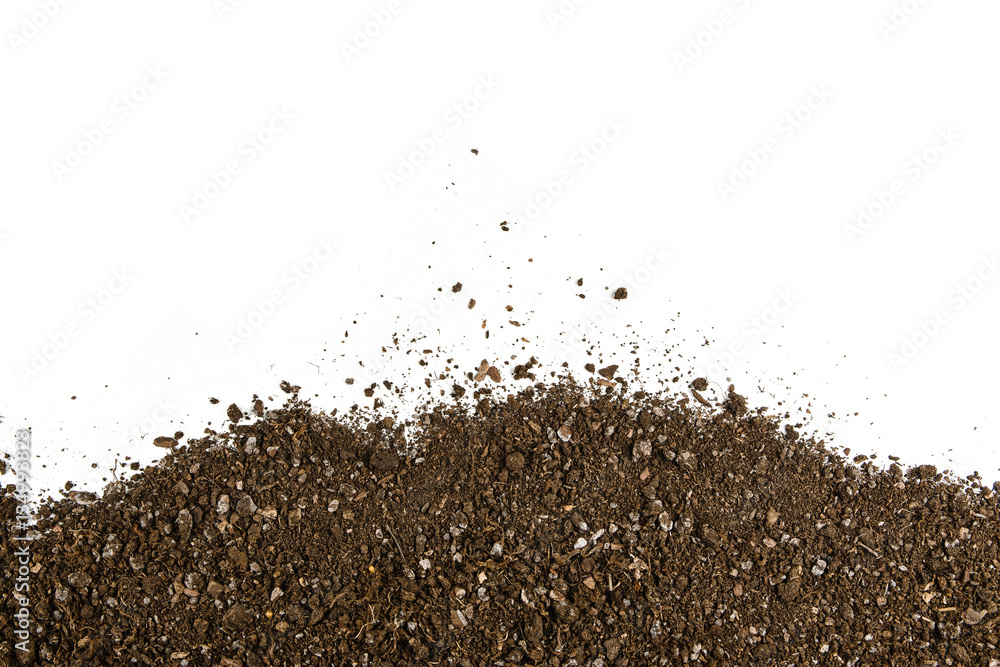 Fertile soil texture background seen from above, top view. Gardening or planting concept. Frame or border isolated on white Fertile soil texture background seen from above, top view. Gardening or planting concept. Frame or border isolated on white