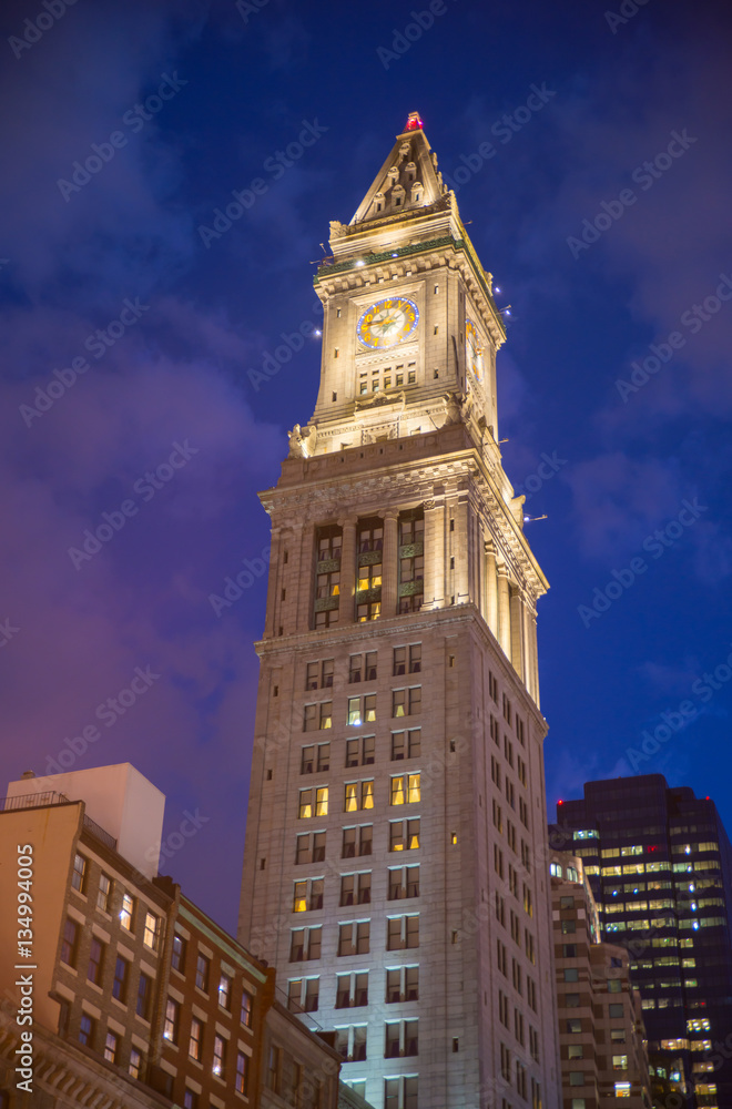 Fototapeta premium Boston Skyline