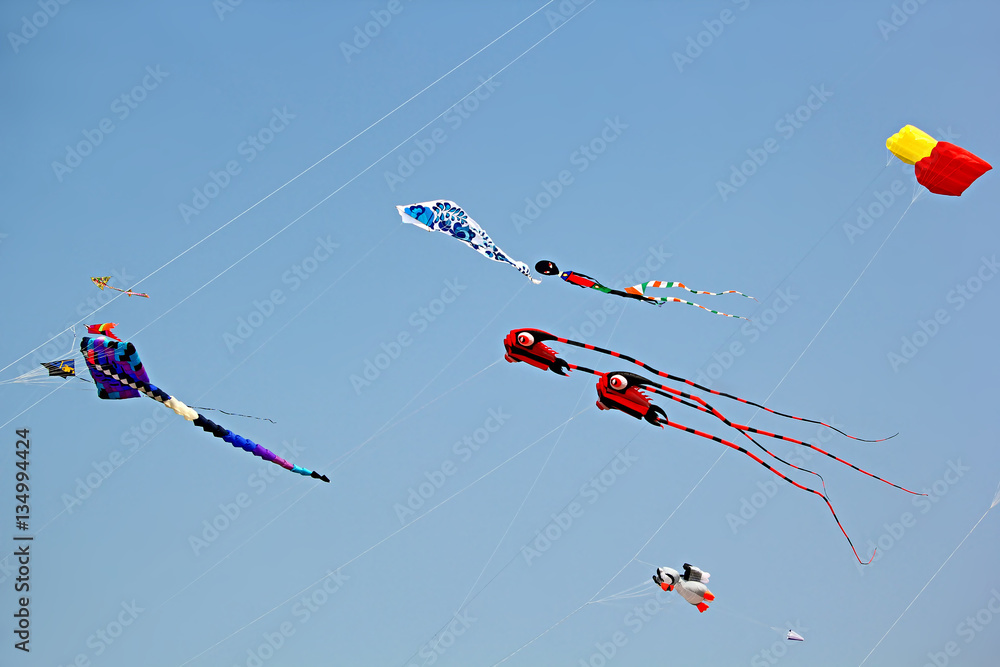Varied shapes and designs of kites flying during the Goa International