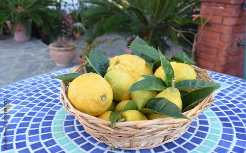 cestino di limoni e cedri photo