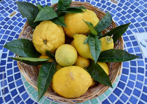 cestino di limoni e cedri
