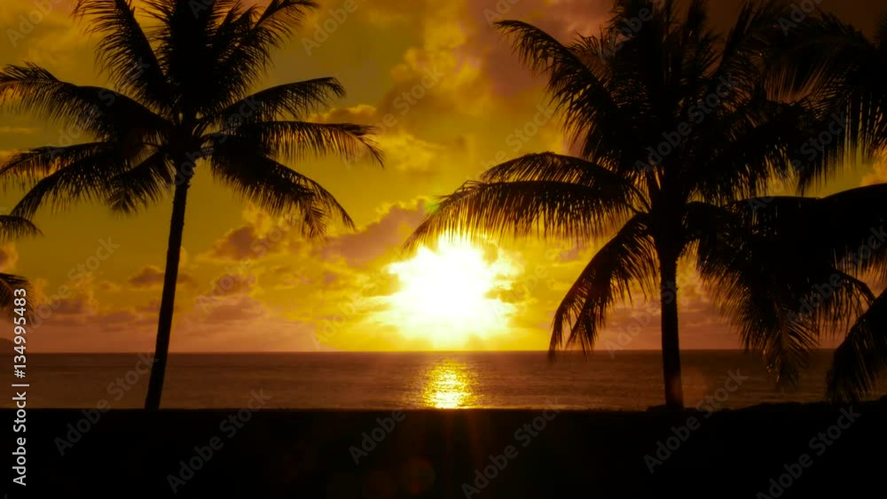 Sunset through palm trees in Hawaii