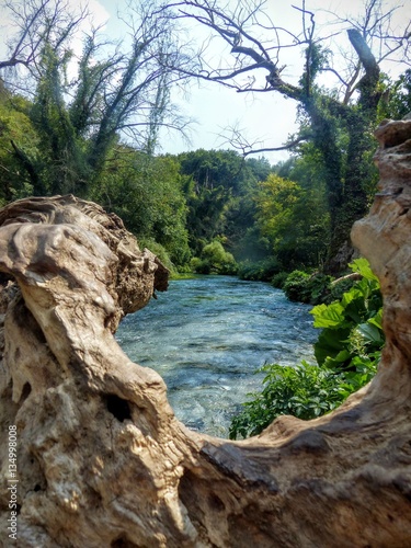 Fiume visto dal tronco di un albero in Albania.