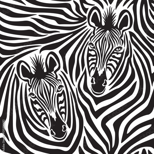 Zebra Couple