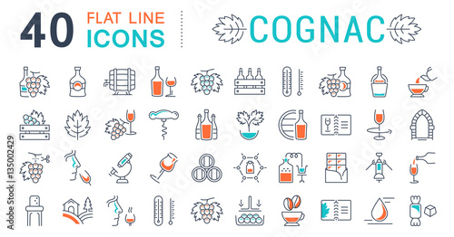 Set Vector Flat Line Icons Cognac