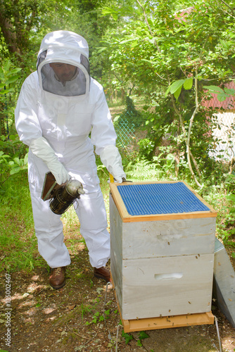 Man working on bee hive © auremar