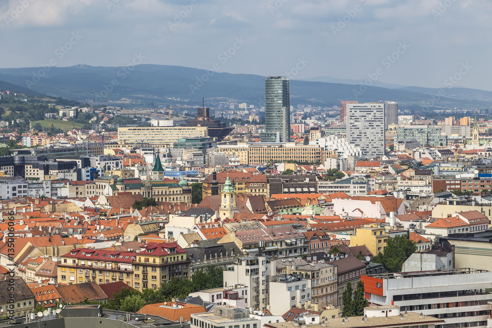 View of Bratislava with a cable-stayed bridge