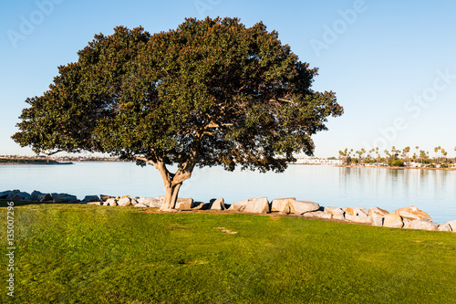 Mission Bay Park in San Diego, California in the De Anza Cove area.   photo