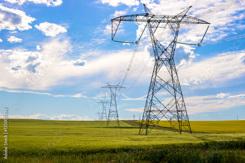 Power lines in a farm field