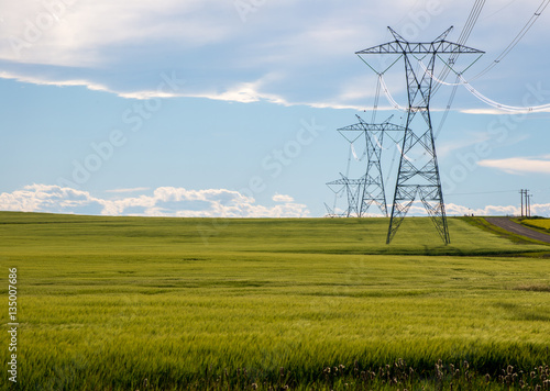 Power lines in a farm field