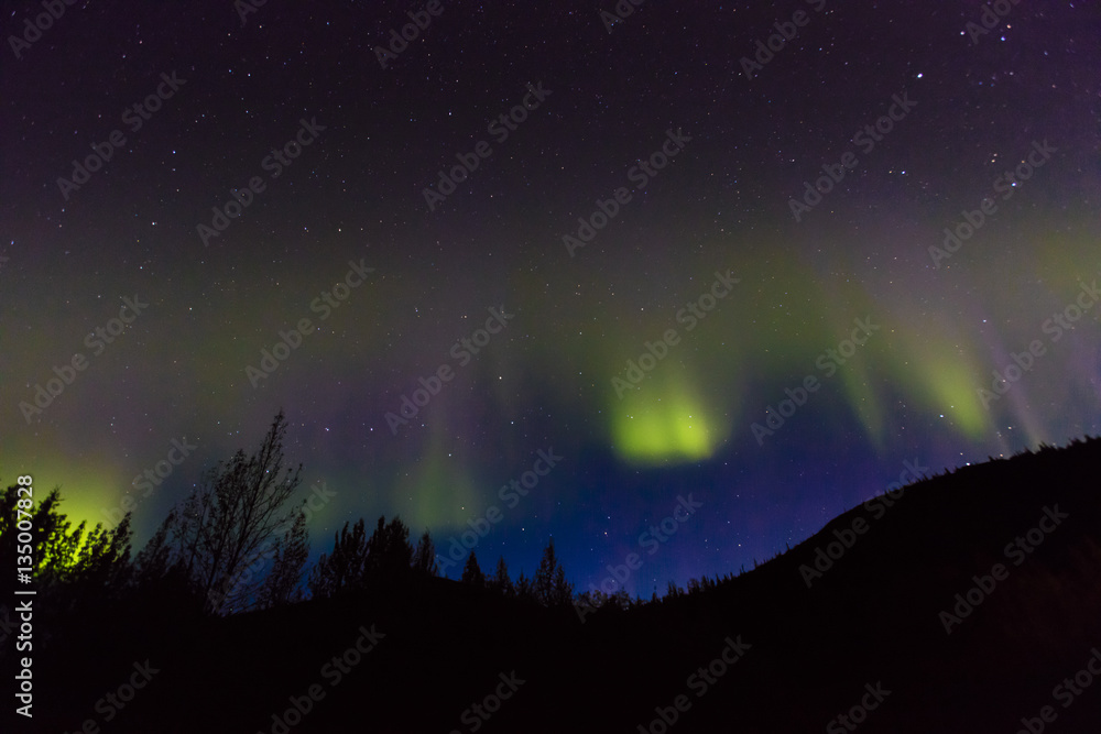 AUGUST 30, 2016 - Aurora Borealis or Northern Lights illuminate the night sky from Kantishna, Alaska - Mnt. Denali National Park