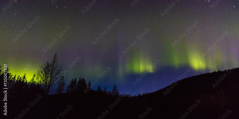 AUGUST 30, 2016 - Aurora Borealis or Northern Lights illuminate the night sky from Kantishna, Alaska - Mnt. Denali National Park