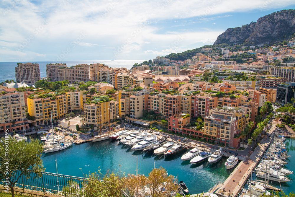 Monaco, Monte Carlo. View of the marina with luxury yachts and residential development