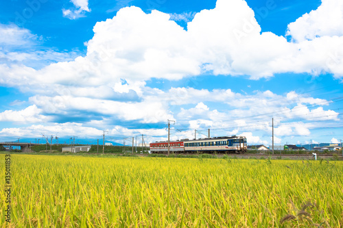 羽越本線の普通列車 photo